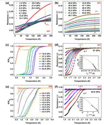Observation of nearly identical superconducting transition temperatures in the pressurized Weyl semimetals MIrTe4 (M = Nb and Ta)