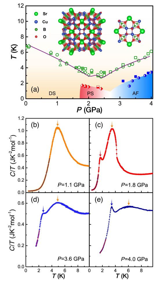 Quantum Phases Of SrCu2ðBO3Þ2 From High-Pressure Thermodynamics | 欢迎来到 ...